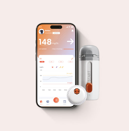 Continu glucosemonitor