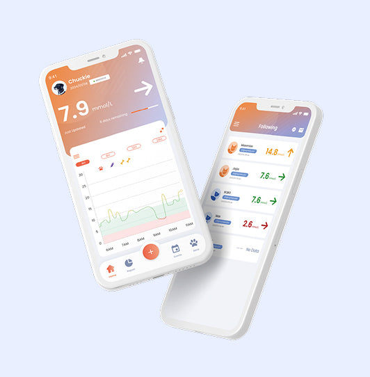 Continu glucosemonitor