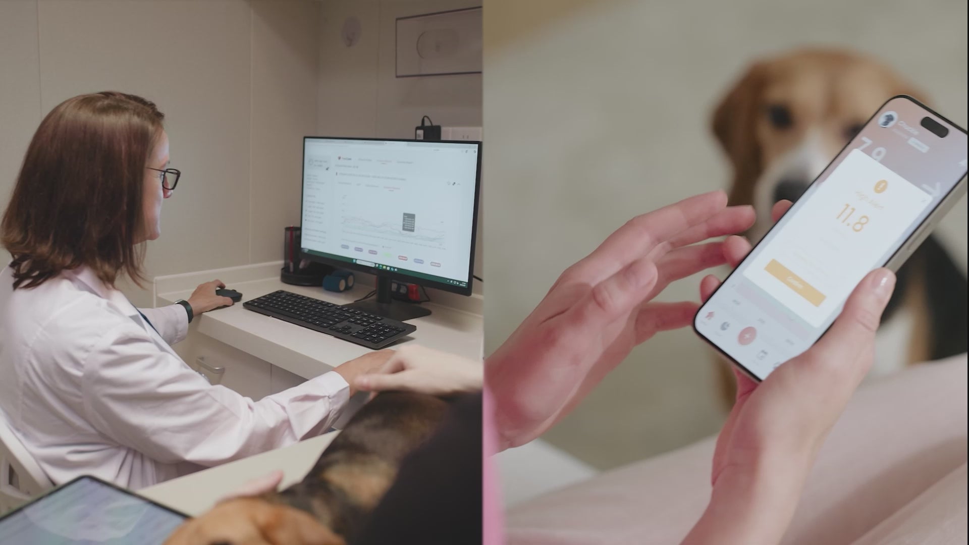 Continu glucosemonitor