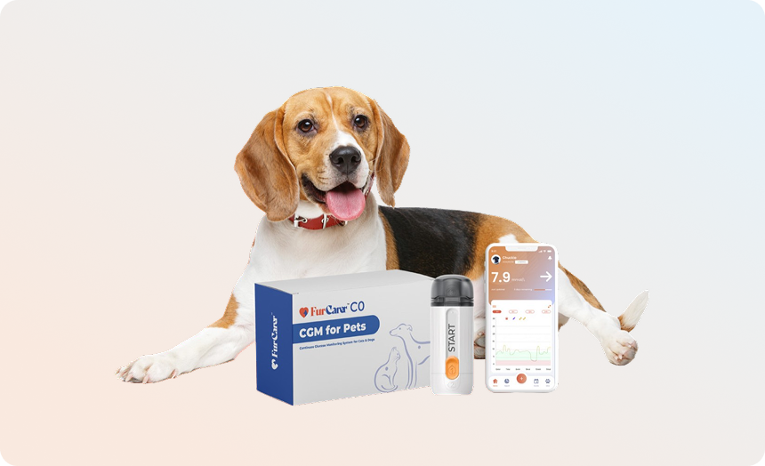 Continu glucosemonitor